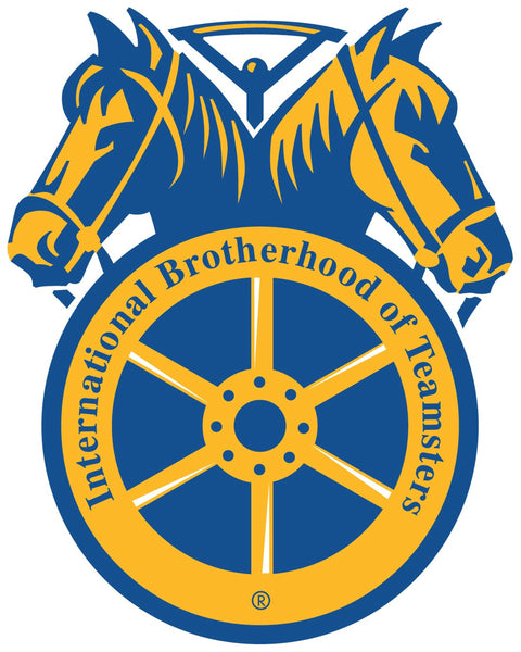 SUN COUNTRY AIRLINE WORKERS FILE FOR TEAMSTER REPRESENTATION