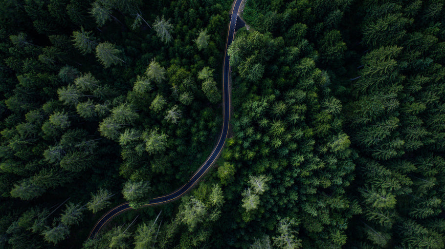 FlyGuys Drone Services Partners with LCP Media